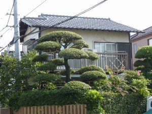 既存のセメント瓦屋根