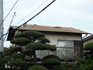 剥がし終わり