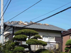 大屋根は、残すは棟のみ