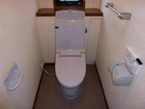 ＩＮＡＸ：アメージュＶ