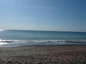 鴨川の海はキレイだな。