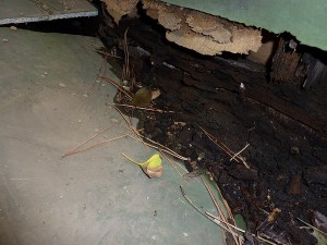 底抜け写真②