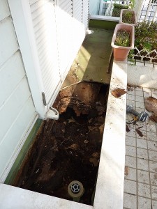 結構腐食部分が多い。