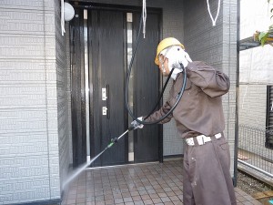 序に玄関床周りも。