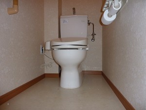 まだまだ活躍してくれるトイレなので。
