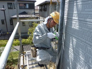 ようやく天気が回復して。