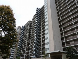 改めて。