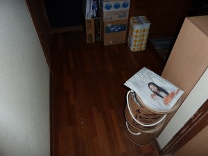 玄関周りも。