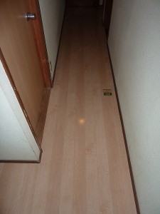 明るい色合いで。