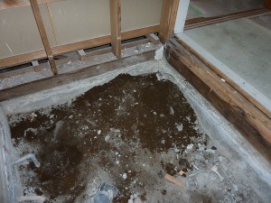土台もキレイで。