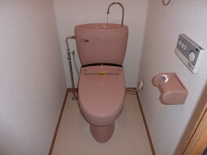 これはもしかしたら・・・。