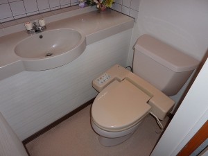既存のトイレはコーラー社製。