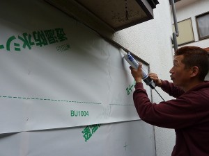勝手口周り。