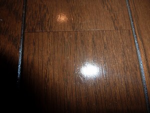 ヒント！の写真はこれだ！！