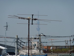 東京スカイツリーです！