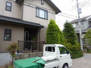 玄関先の庭木は。。。