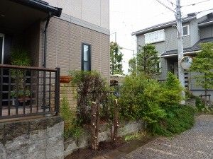 大きく刈り込まれました。。。