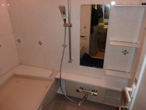 エアインシャワー全体。
