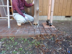 こっちもダメみたい。。。