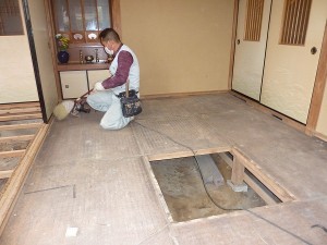 隣の部屋から剥がし始めて。