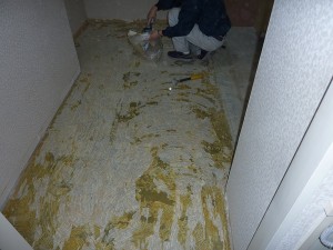 クッションフロア剥がし後。